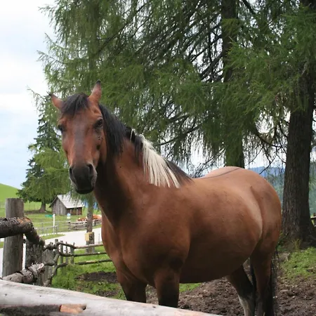 In Pruggern Mit Terrasse Und Garten By Interhome