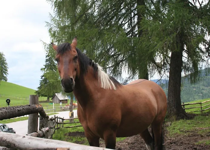 In Pruggern Mit Terrasse Und Garten By Interhome