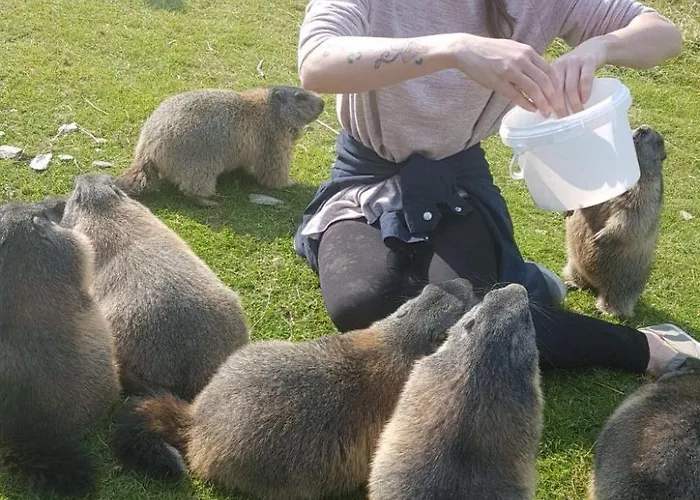 度假居 In Pruggern Mit Terrasse Und Garten By Interhome 普鲁格恩